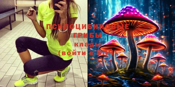 соль курить ск Данков