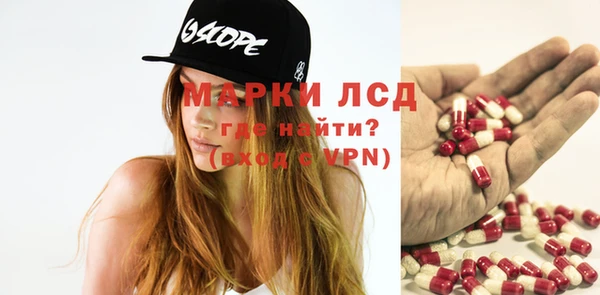 хмурый Кодинск