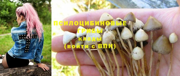твердый Кинешма