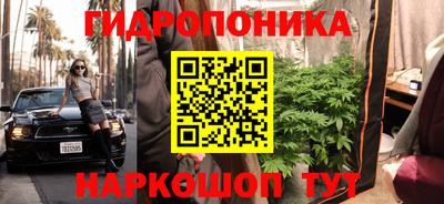 гидропоника Кунгур