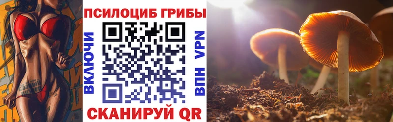 Галлюциногенные грибы прущие грибы  сколько стоит  Котельники 