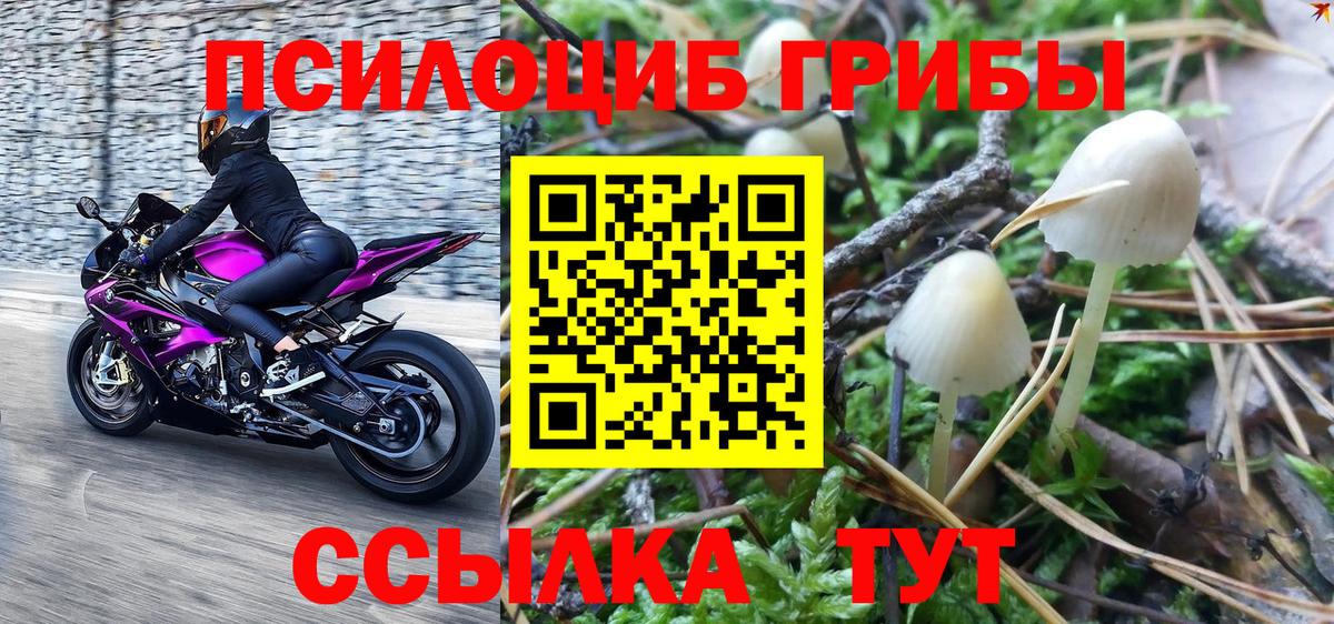 Псилоцибиновые грибы Magic Shrooms  Вход с VPN  Котельники 